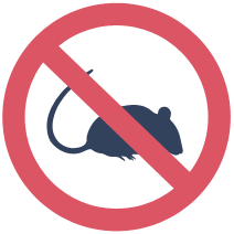 no rats