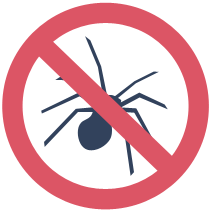 no spider