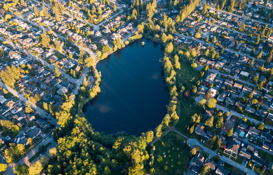 Coquitlam pest control services